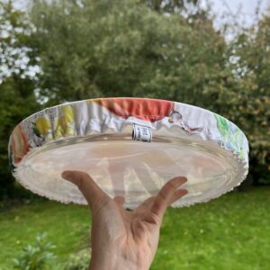 charlotte plat à tarte acidulée 1